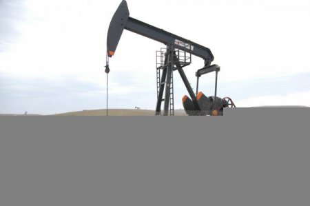 TPAO Fransız Perenco’dan devraldığı sahada üretime başlıyor