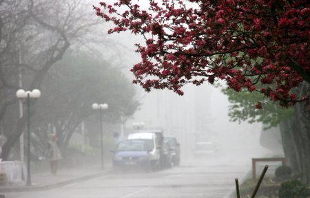 Trabzon sis altında