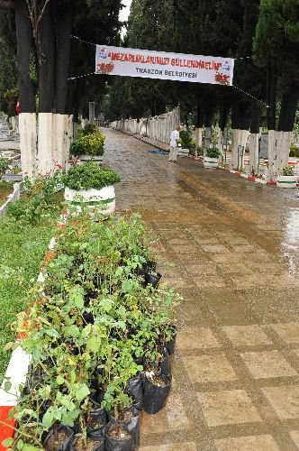 Trabzon'da Mezarlıklar Gül Bahçesine Dönecek