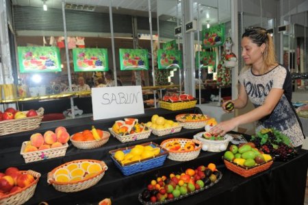 Trabzon'da mikrokredi uygulamalarından 3 yılda bin 500 kişi faydalandı