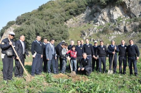 Trafik Polisleri Meyve Ağacı Dikti