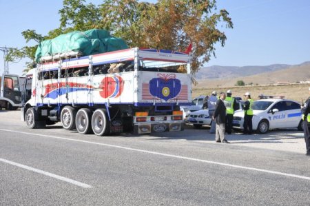 Trafik ve maliye ekipleri kurbanlık taşıyan araçlar üzerinde denetimleri artırdı