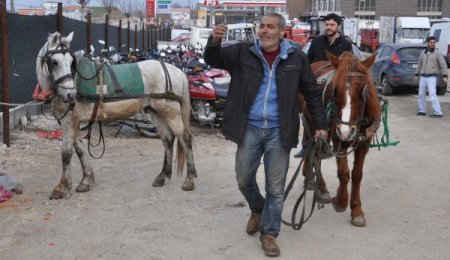 Trafikten men edilen at arabaları, motorlu taşıtlar gibi otoparka çekiliyor