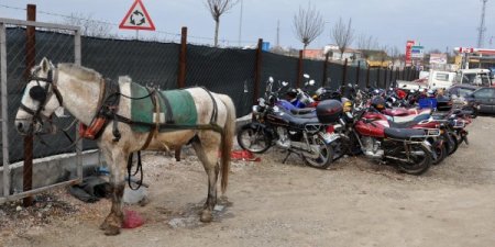 Trafikten men edilen at arabaları, motorlu taşıtlar gibi otoparka çekiliyor