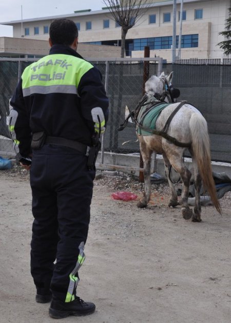 Trafikten men edilen at arabaları, motorlu taşıtlar gibi otoparka çekiliyor