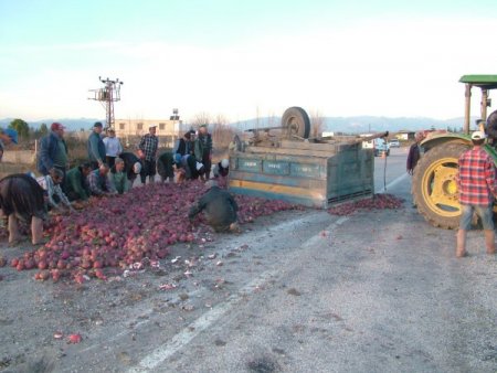 Traktörün Tekerleği Fırladı, Turplar Yola Saçıldı