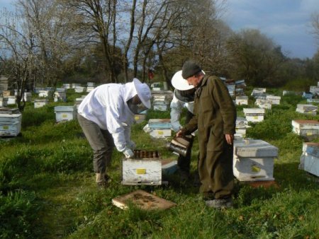 Trakya Kalkınma Ajansı’ndan Arıcılara 125 Bin Lira Hibe Desteği