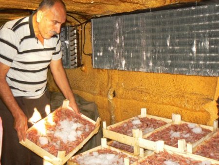 Trolcüler Av Yasağı Sezonunun Uzamasını İstiyor