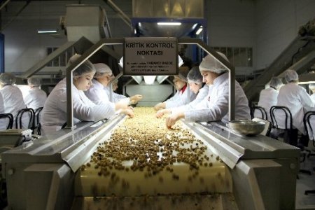 TTB, fındık seçme elemanı yetiştirecek