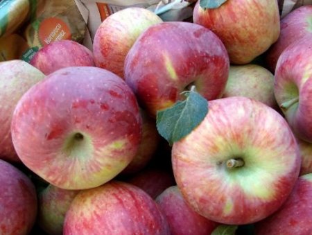 Tüccar 65 Kuruş Verince, Üretici Elmayı Soğuk Hava Deposuna Kaldırdı