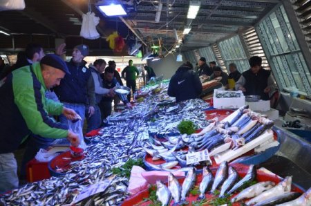 Tuna Pazarı yeni yerinde