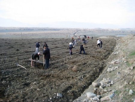 Tunay Gıda Erzincan'da meyveciliğe yatırım yapıyor