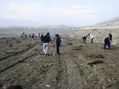 Tunay Gıda Erzincan'da meyveciliğe yatırım yapıyor