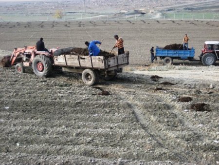 Tunay Gıda Erzincan'da meyveciliğe yatırım yapıyor