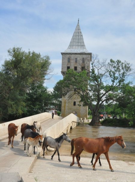 Tunca Nehri’nde Su Seviyesi Yükseliyor