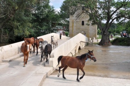 Tunca Nehri’nde Su Seviyesi Yükseliyor