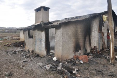 Tunceli'de ahır yangını: 12 gebe hayvan telef oldu