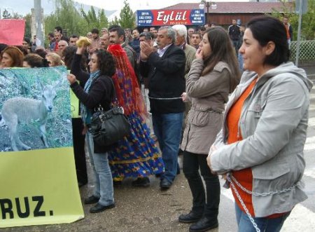 Tunceli'de Barajları Protesto Eden Kadınlar, Yolu Trafiğe Kapatarak Kendilerini Zincirledi