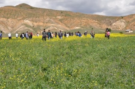 Tunceli’de feribotla mavi turlar başladı