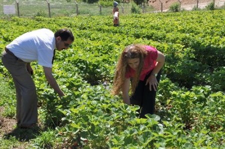 Tunceli’de kadınlar üretiyor