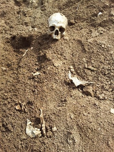 Tunceli’de ormanlık arazide insan kemikleri bulundu