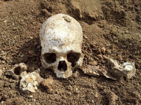 Tunceli’de ormanlık arazide insan kemikleri bulundu