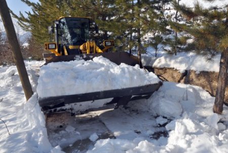 Tunceli’de Sakine Cansız’ın cenazesi için hazırlıkları tamamlandı