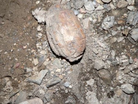 Turgutlu'da Yol Ortasında El Bombası Bulundu