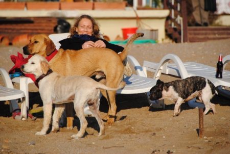 Turistler, Antalya'da güneşli havanın keyfini çıkardı