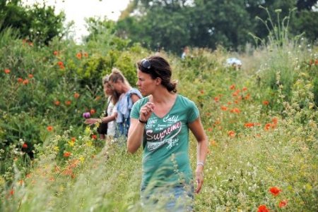 Turistler Toroslar'a düzenlenen botanik turlara büyük ilgi gösteriyor