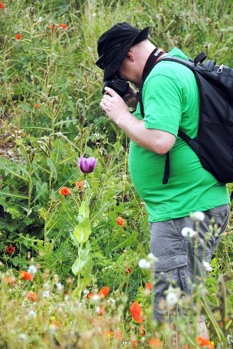 Turistler Toroslar'a düzenlenen botanik turlara büyük ilgi gösteriyor