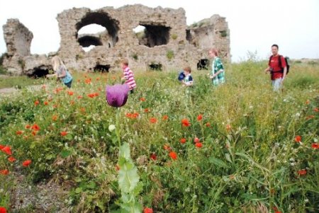Turistler Toroslar'a düzenlenen botanik turlara büyük ilgi gösteriyor