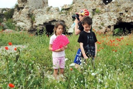 Turistler Toroslar'a düzenlenen botanik turlara büyük ilgi gösteriyor