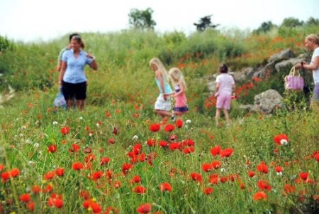 Turistler Toroslar'a düzenlenen botanik turlara büyük ilgi gösteriyor