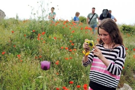 Turistler Toroslar'a düzenlenen botanik turlara büyük ilgi gösteriyor