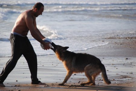 Turistler yazdan kalma günü yürüyüş yaparak değerlendirdi