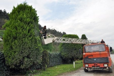 Turizm bölgesi Sapanca yaza hazırlanıyor
