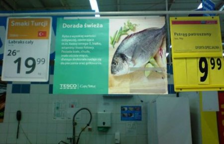 Türk Balığının Avrupa'daki İlk Müşterisi Polonya Oldu