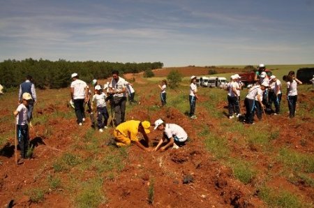 Türk Dünyası’nın çocukları ‘Kardeşlik Ormanı’ kurdu