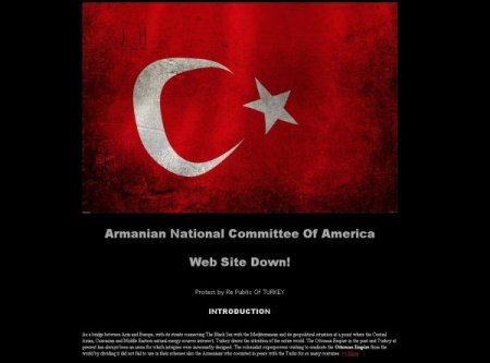 Türk 'hacker'lardan Anca'ya Sanal Saldırı