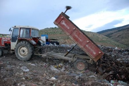 Türk Hava Kurumu'nun Kurban Derilerinin Bir Kısmını Çöpe Attığı İddia Edildi