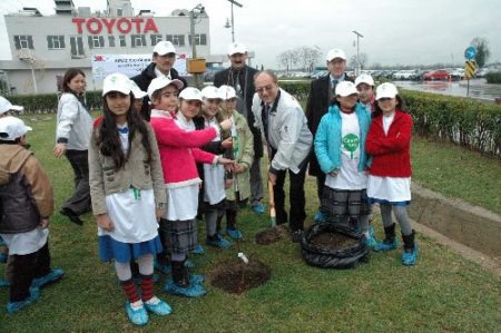 Türk -japon Dostluğunu Pekiştirmek İçin Sakarya'da Sakura Fidanı Dikildi