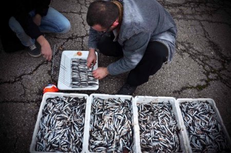 Türk öğrenciler hamsi partisinde horon tepti