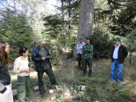 Türk ormancılar Faslıları eğitti