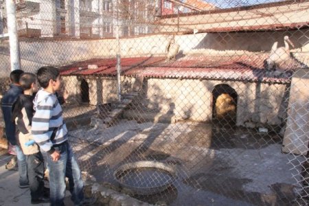 Türk tarımın geçmişi bu müzede sergileniyor