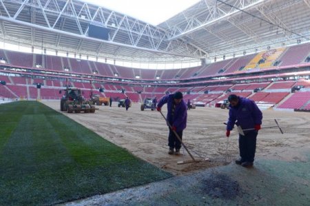 Türk Telekom Arena'da çimler serilmeye başlandı