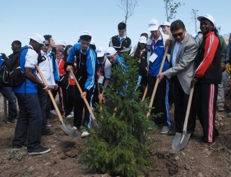 Türkçe çocukları Sevgi Tepesi'ne fidan dikti