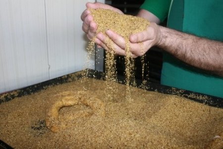 Türkiye, susamını Japonlara satıp, ihtiyacını Afrika’dan karşılıyor