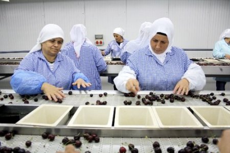 Türkiye artık kirazı 20 açıdan fotoğraflayarak ihraç edecek