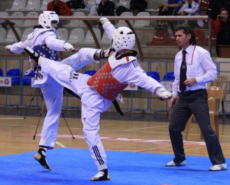 Türkiye Büyükler Tekvando Şampiyonası'nda birinciler İzmir ve İstanbul'dan çıktı